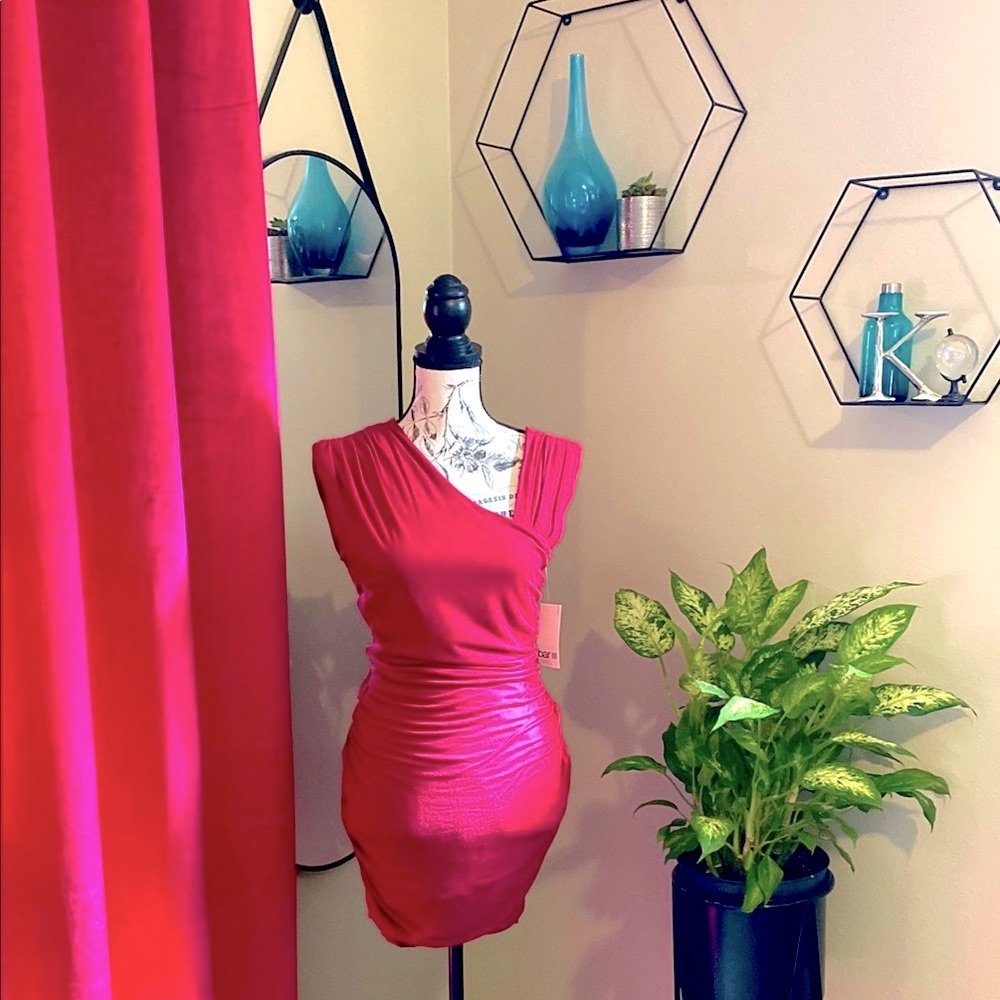 BAR III Burgundy fitted dress NWT MEDIUM